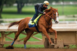 Race Horse Names
