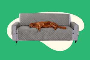 best sofa covers for pets
