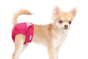 dog diapers for dogs in heat