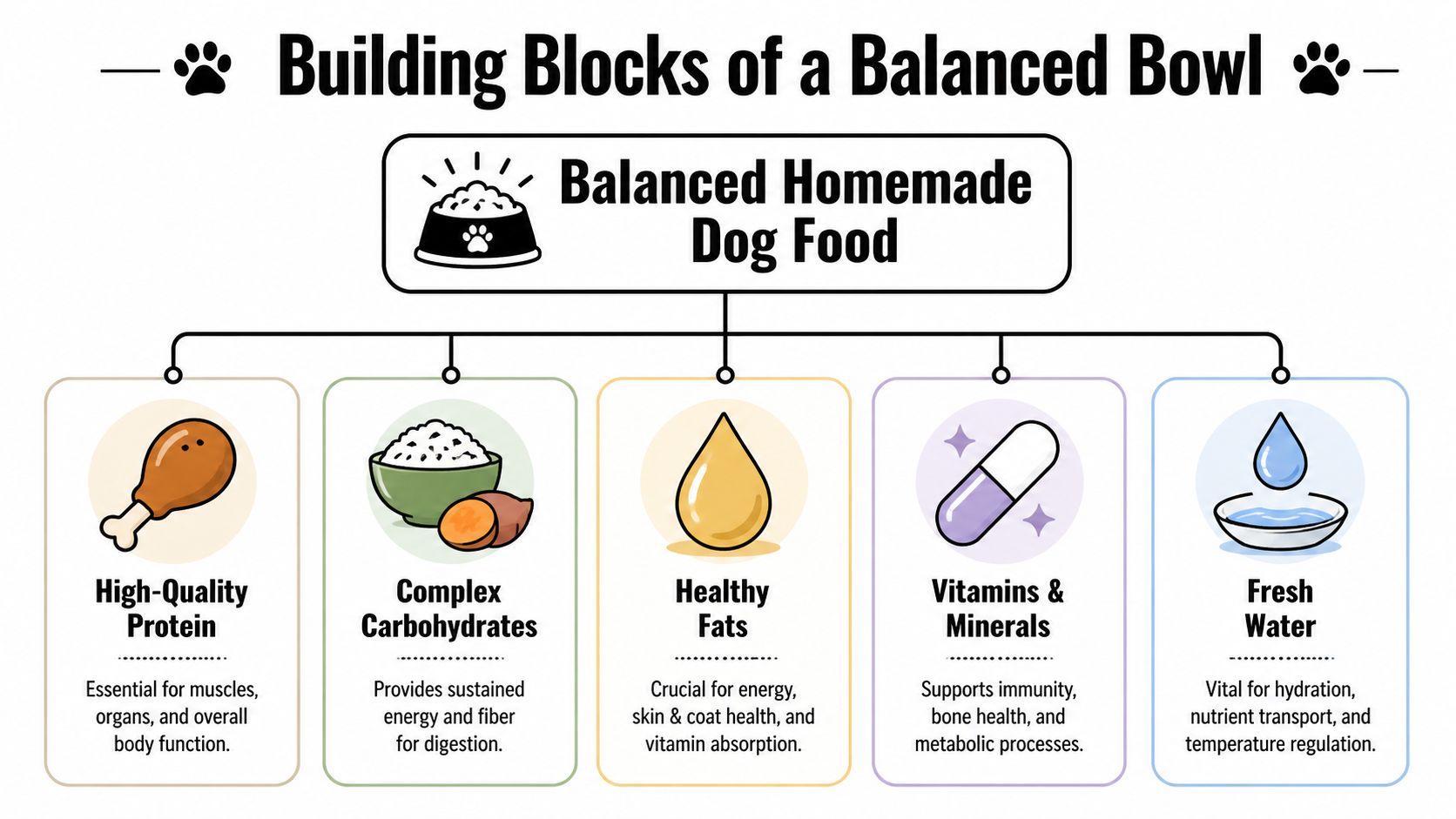 An infographic showing the five essential building blocks for a balanced homemade dog food diet for pets.