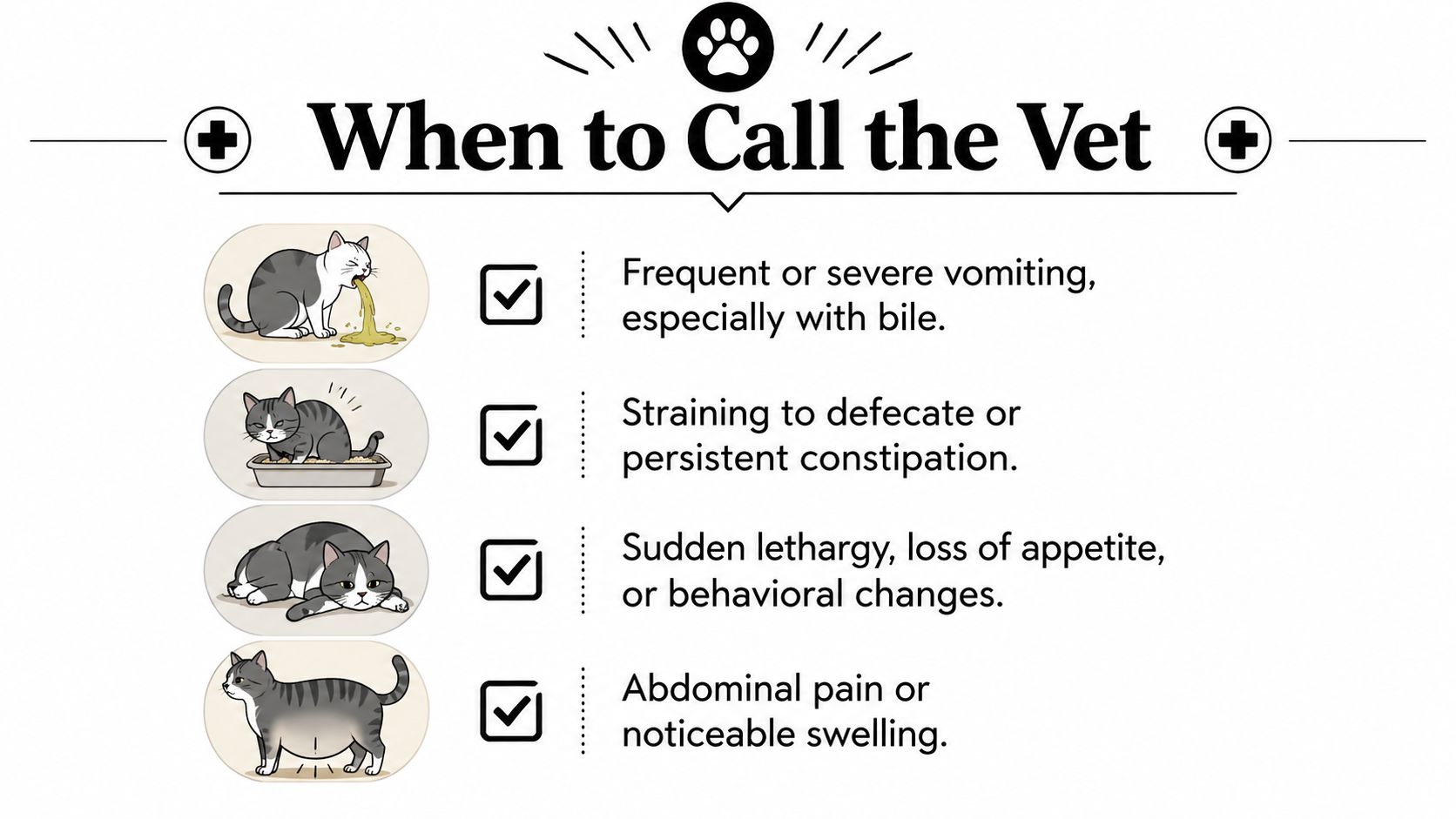 An infographic titled When to Call the Vet listing four signs of illness in cats.